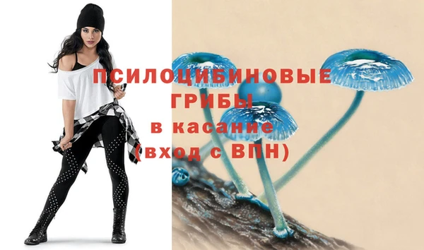 экстази Алексеевка