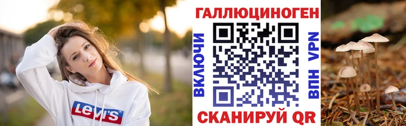 Купить  Казань  Галлюциногенные грибы Psilocybine cubensis 