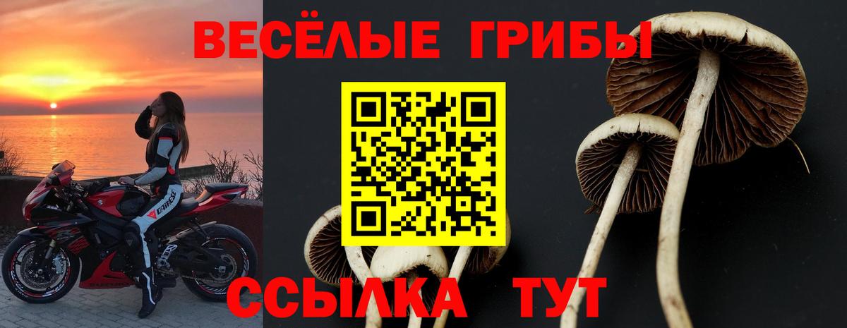 Псилоцибиновые грибы MAGIC MUSHROOMS Казань