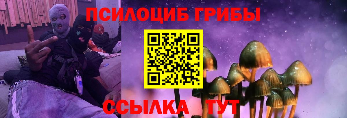 купить   Галлюциногенные грибы MAGIC MUSHROOMS  Вход с VPN  Псилоцибиновые грибы прущие грибы  Казань 